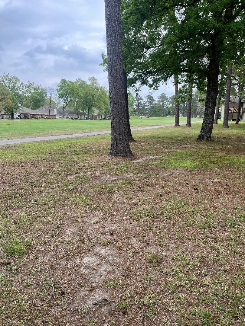 Golf Course