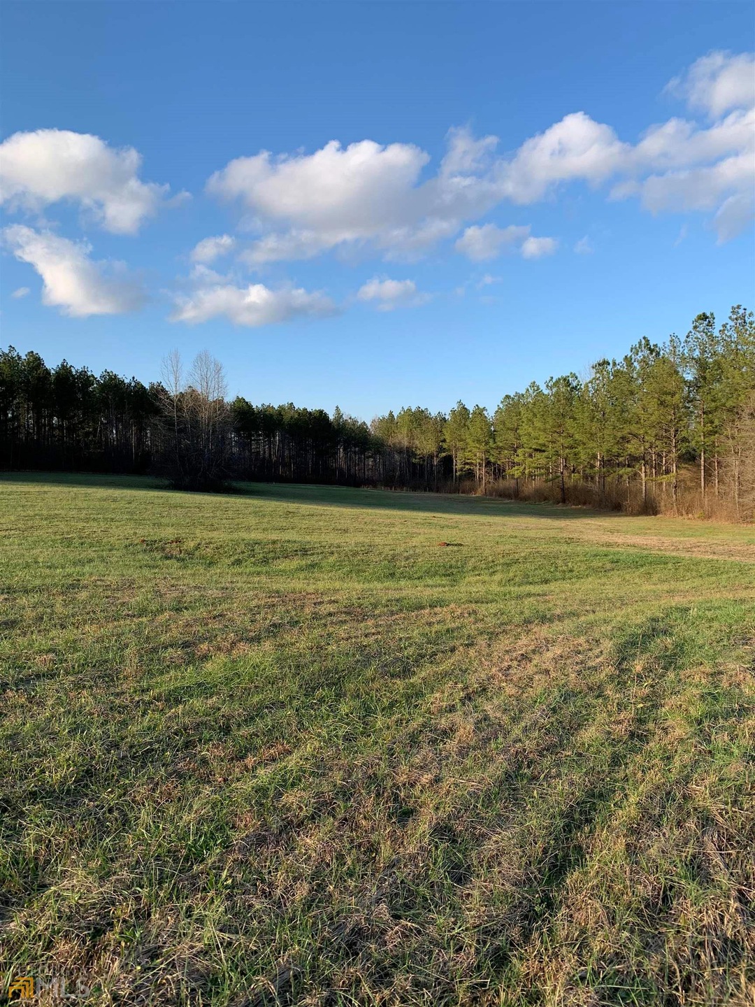 3200 NE Hickory Level Rd, Temple, GA 30179 - photo 1