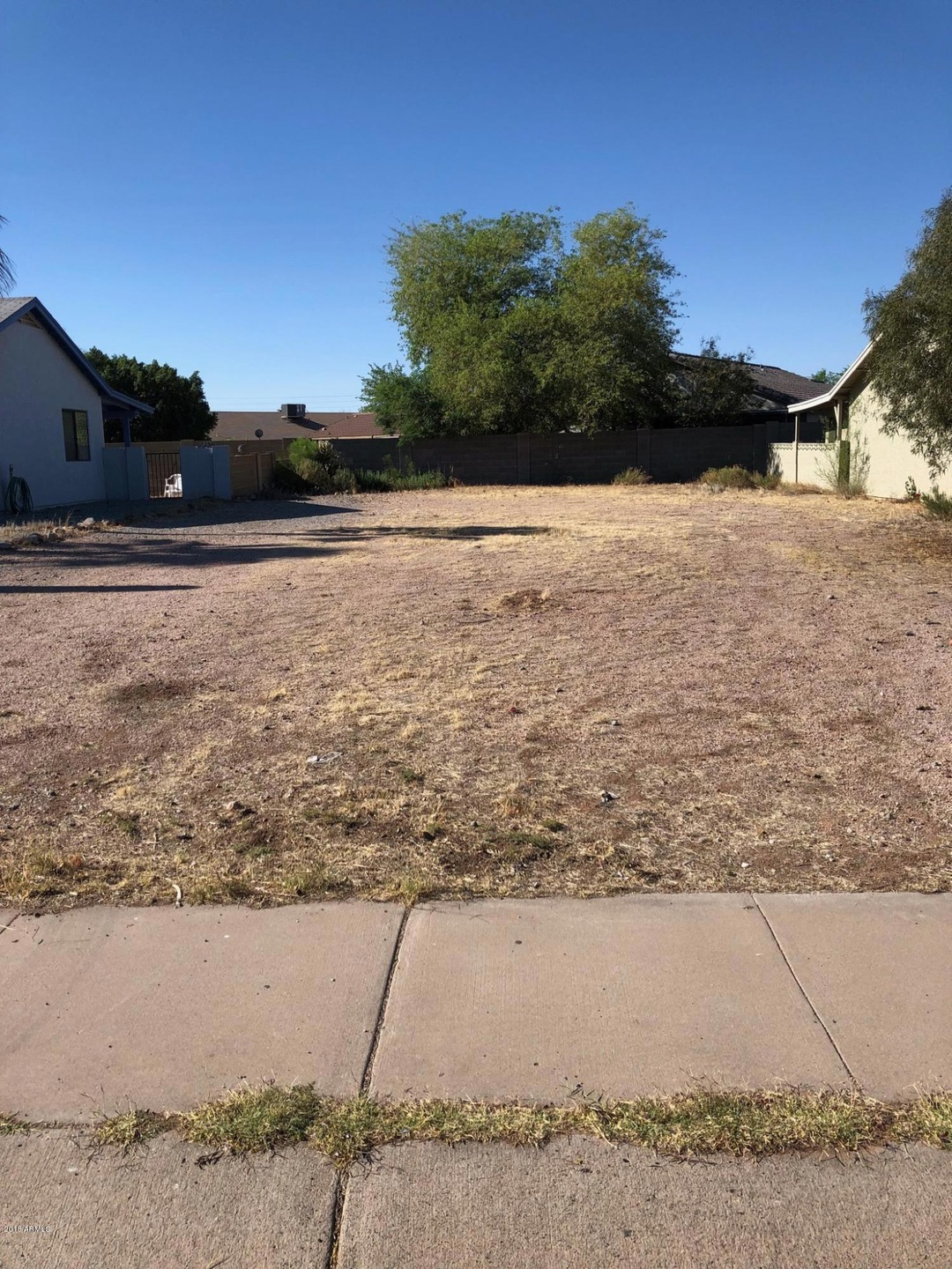 Datil-Lot 103