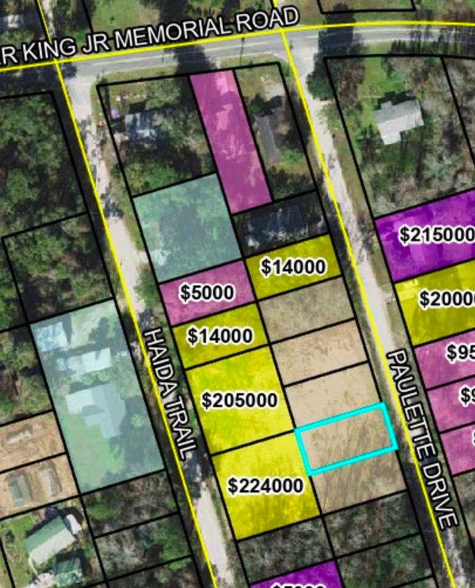 Lot 52 Paulette Dr, Crawfordville, FL 32327 - photo 1