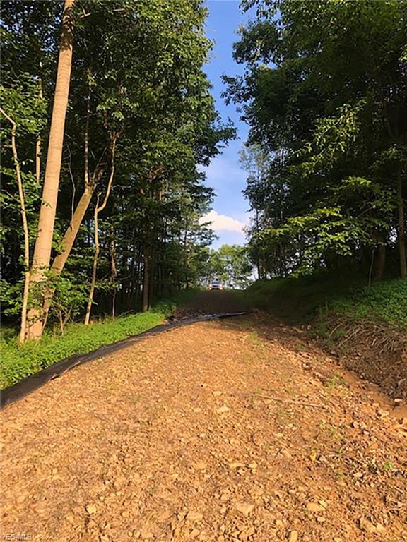 4273 Avalon Rd NW unit 30, Carrollton, OH 44615 - photo 1