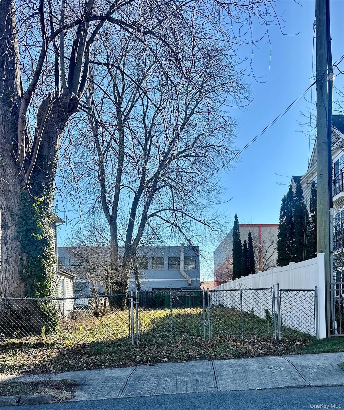 25 Minerva Place, White Plains, NY 10601 - photo 1