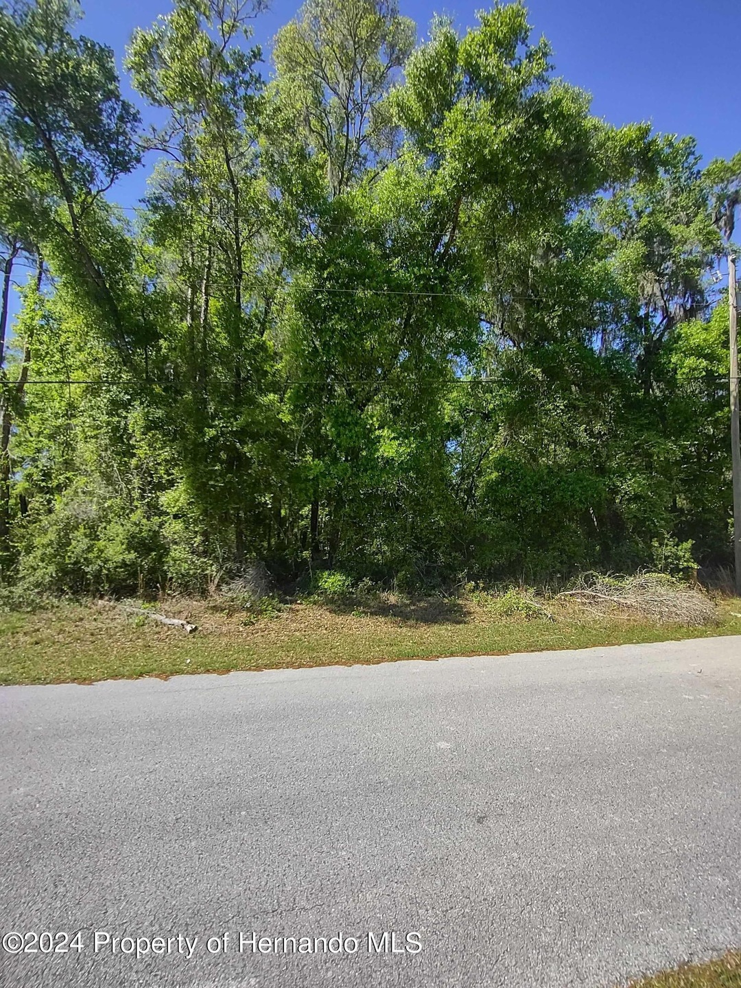 Lot Frontage