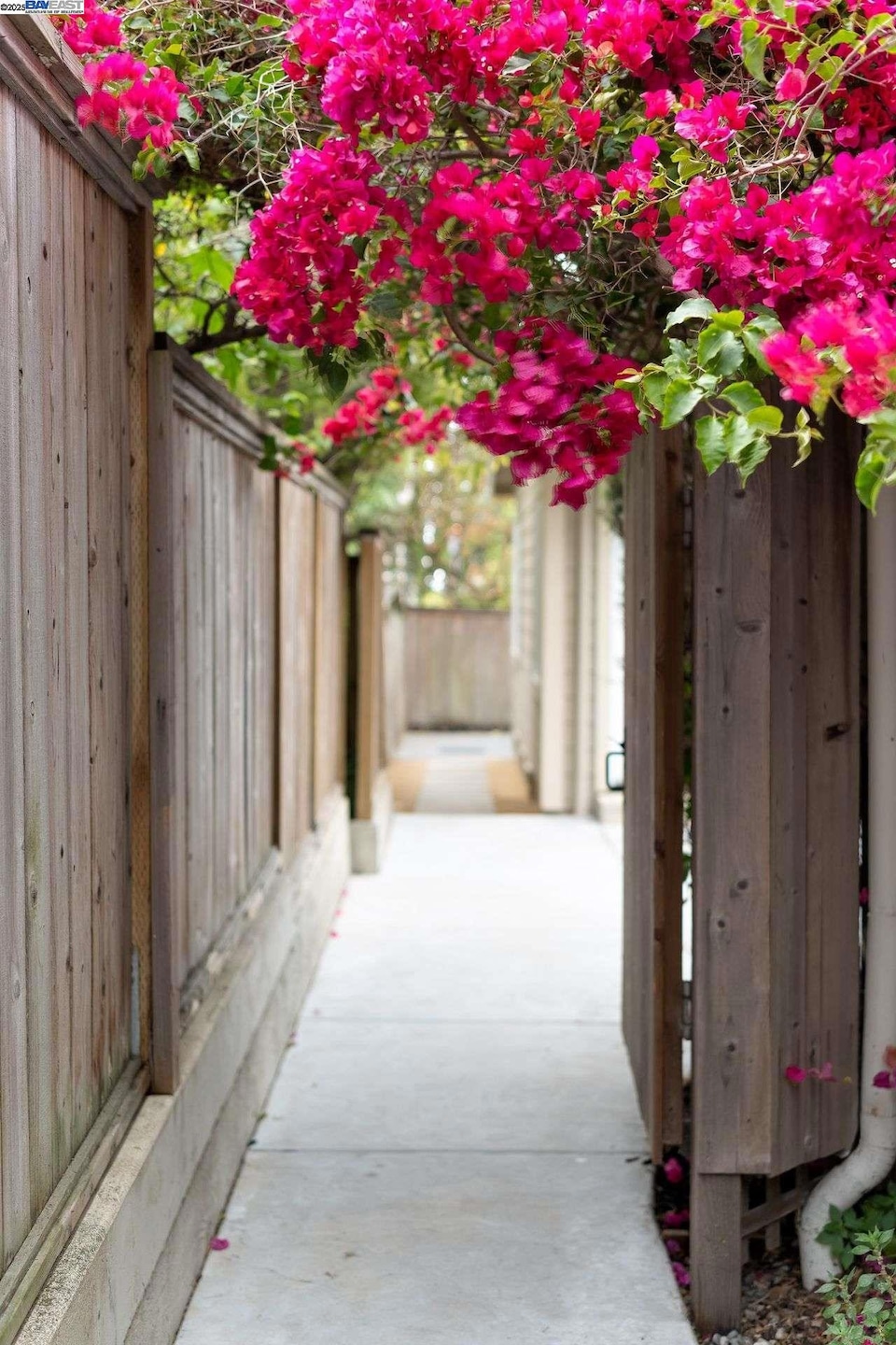 1532 Martin Luther King jr Way unit 3, Berkeley, CA 94709 - photo 1