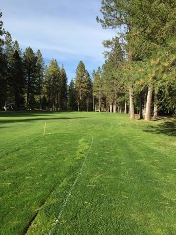 #17 Fairway