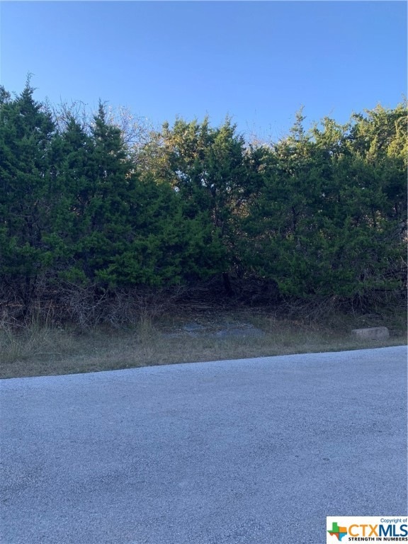 16246 Toby Ct, Temple, TX 76502 - photo 1