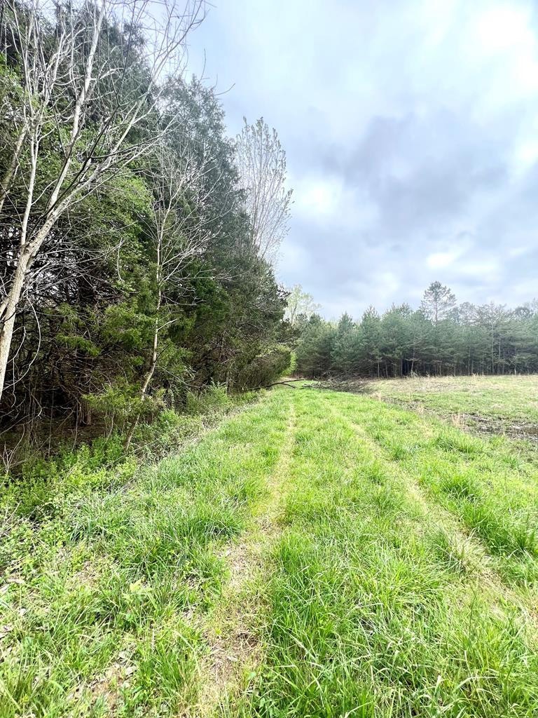 0 Old Graysville Rd Unit 20231341, Dayton, TN 37321