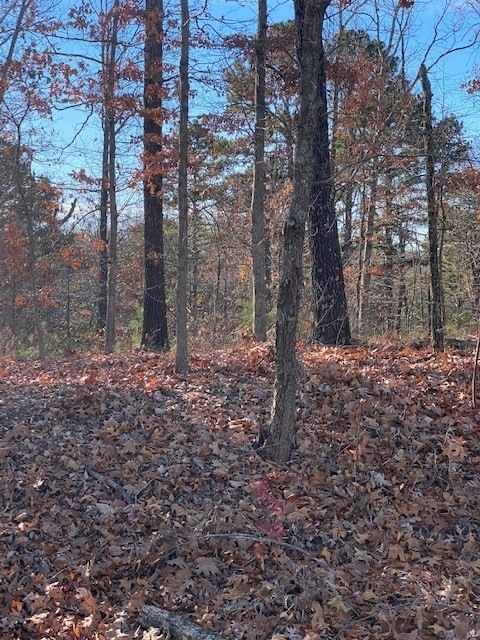 Lot 15 & 16 Little Dr, Bella Vista, AR 72715 - photo 1