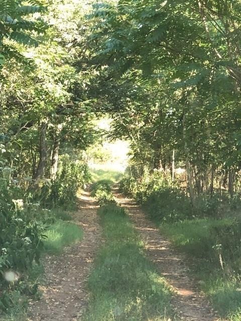 15226 S Hwy 170, West Fork, AR 72774 - photo 1