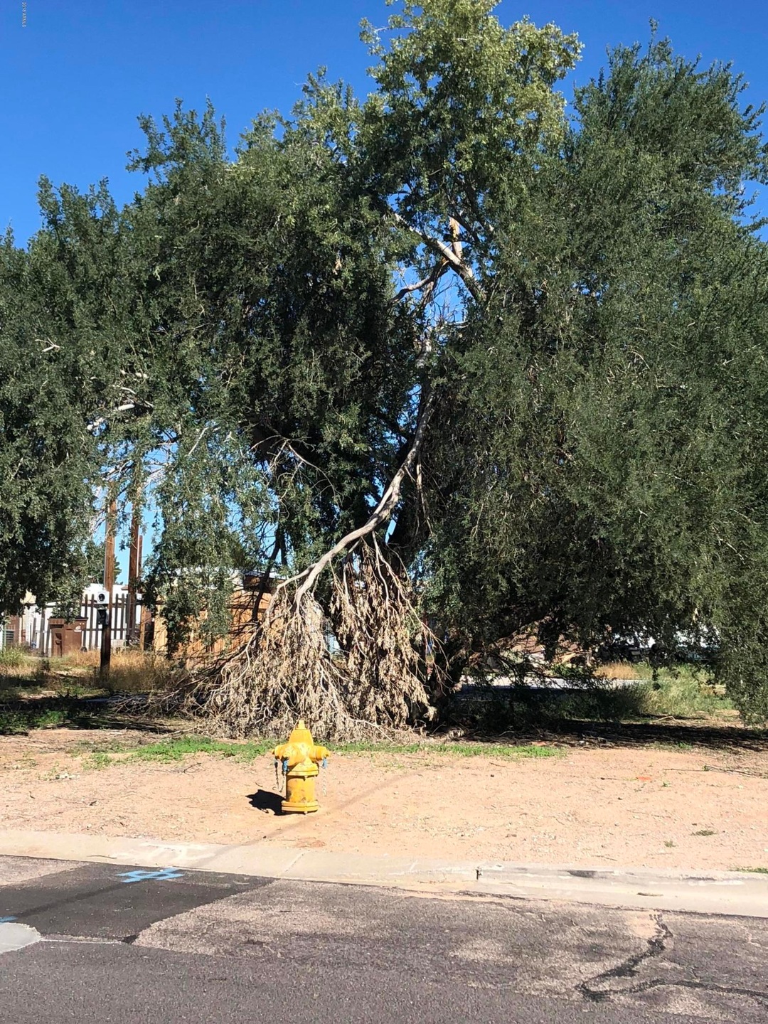 MOB Park