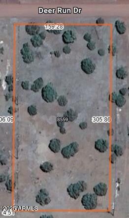 Parcel 305x160
