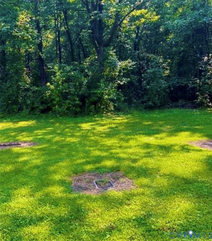 317 Franklin St, Waverly, VA 23890 - photo 1