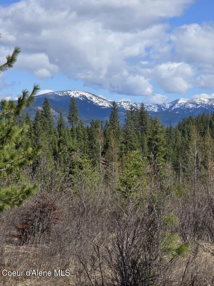 NKA Mulch Creek Rd, Saint Maries, ID 83861 - photo 1