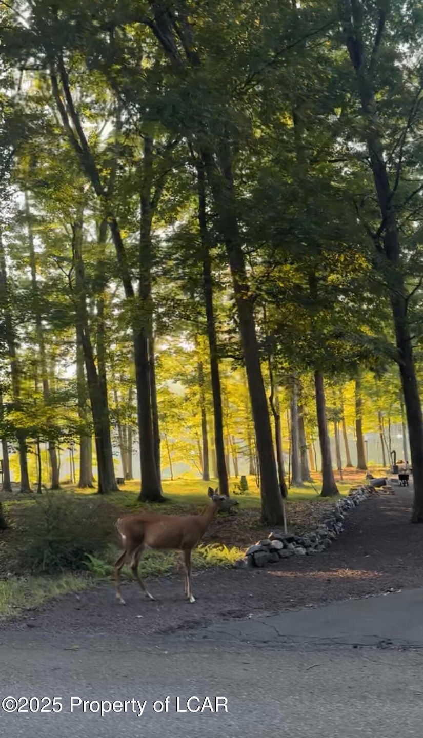 E-114 Conyngham Dr, Hazle Township, PA 18202 - photo 1