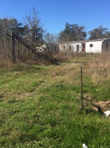 2611 County Road 388b, Brazoria, TX 77422 - photo 1