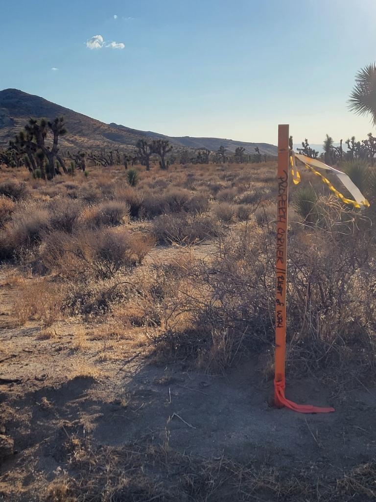 1 Mojave-Tropico Rd, Rosamond, CA 93560 - photo 1