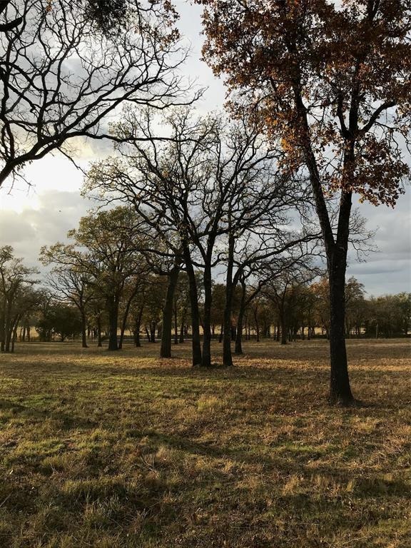 1016 Oak Bend Ln, Weatherford, TX 76088 - photo 1