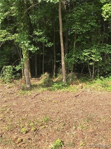 3520 Francis St, Petersburg, VA 23805 - photo 1