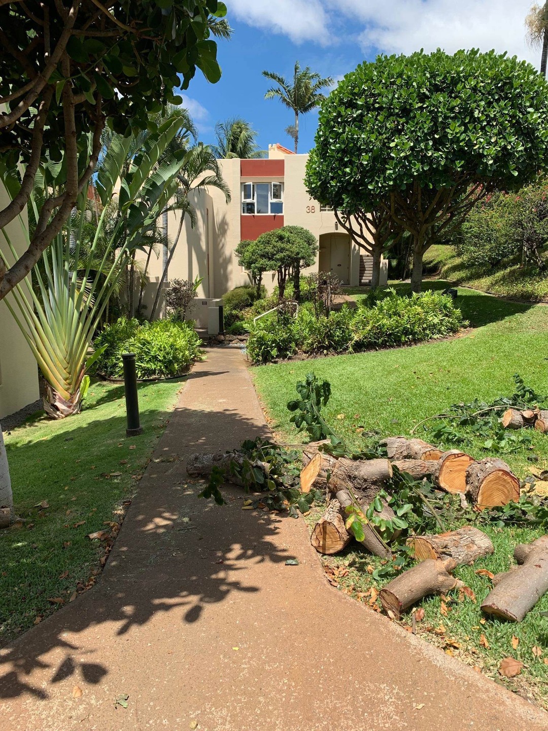 3150 Wailea Alanui Dr unit 3805, Kihei, HI 96753 - photo 1