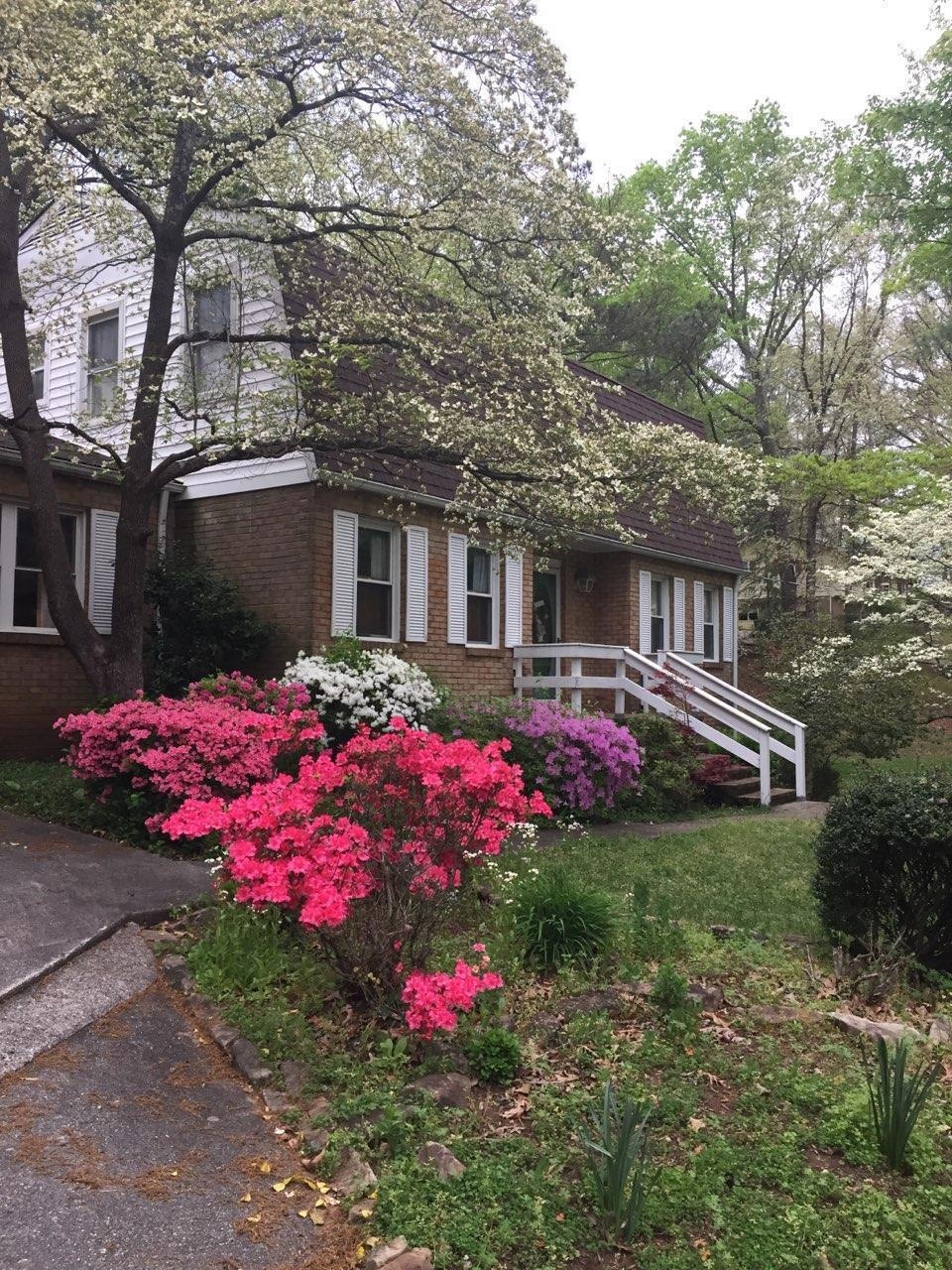 dogwood 1