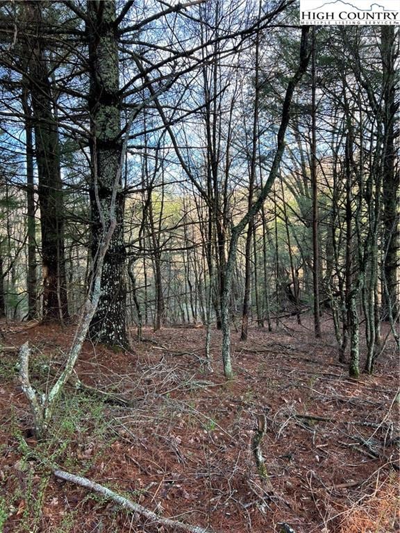 13 Speckled Dr, Laurel Springs, NC 28644 - photo 1