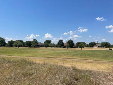 27191 Whispering Meadow Dr, Whitney, TX 76692 - photo 4