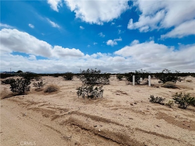 25 Copper Moon Ln, Joshua Tree, CA 92252 - photo 7