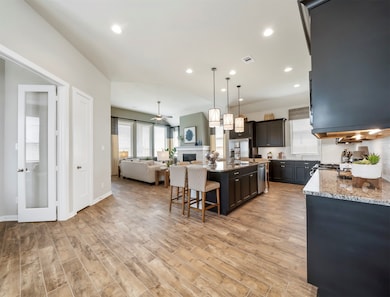 17630 Tree of Heaven, Shenandoah, TX 77385 - photo 5