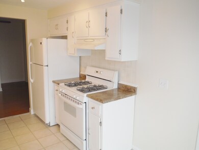 Kitchen - lots of cabinets!