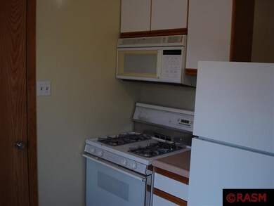 318 Owatonna St, Mankato, MN 56001 - photo 6