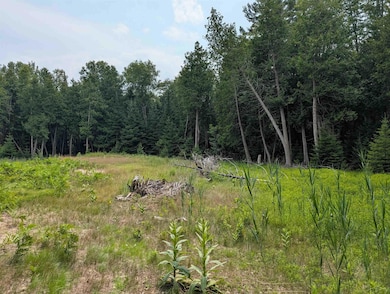 0 Sherwood Dr unit Cedar Brook Dr, Oscoda Township, MI 48750 - photo 3