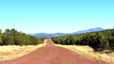 1667 Yukon Dr E unit 22, Ash Fork, AZ 86320 - photo 5