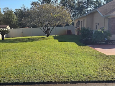 1030 Rowland Pickert Ln, Lutz, FL 33548 - photo 5