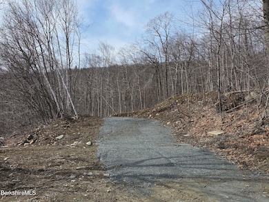 350 Mohawk Trail, North Adams, MA 01247 - photo 7