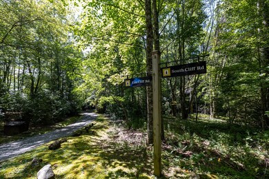 Lot 16 S Cliff Rd, Cullowhee, NC 28723 - photo 7