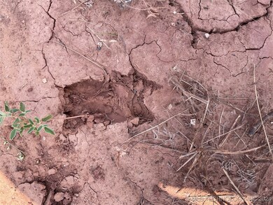 10 El Dorado Rd, Ardmore, OK 73401 - photo 6