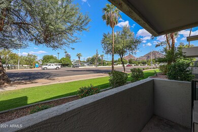Patio Views