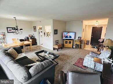 5501 Seminary Rd unit 1502S, Baileys Crossroads, VA 22041 - photo 3