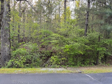 Lot 32A E Commodore Dr, Cross Hill, SC 29332 - photo 2