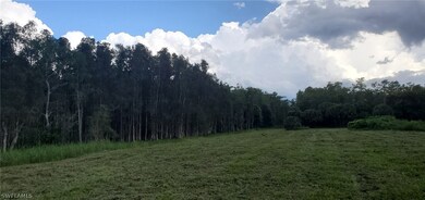 20948 Corkscrew Rd, Estero, FL 33928 - photo 3