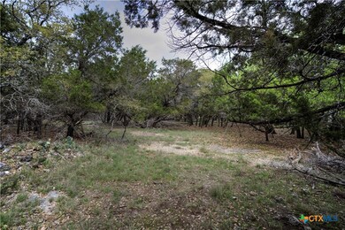 15920 Charlya Dr, Temple, TX 76502 - photo 4