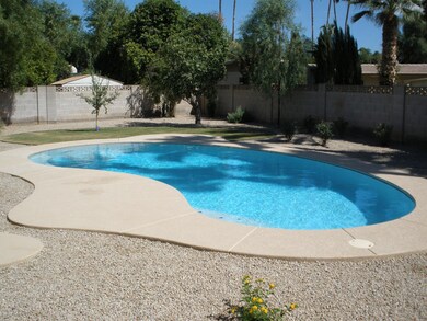 Brand New Pool!