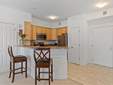 33 Naomi's Way unit 303, Colchester, VT 05446 - photo 6