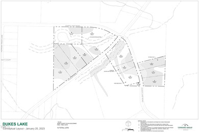 Duke's Lake - subdivision layout