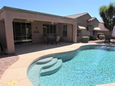 How Inviting! Ready For a Swim?