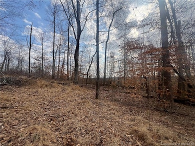 0 Hwy 135 unit Tract 3 2025011288, New Salisbury, IN 47161 - photo 6