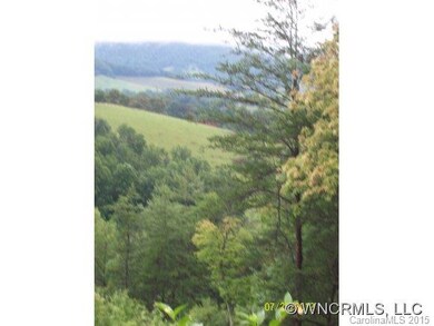 106 Balsamwood Dr, Leicester, NC 28748 - photo 7