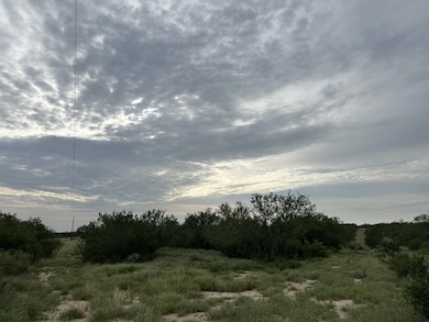 3441 U S Highway 83 unit PARCEL 3-B TX, Zapata, TX 78076 - photo 6