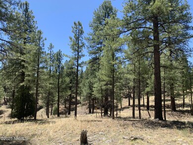 2343 E Del Rae Dr unit 176, Flagstaff, AZ 86001 - photo 5