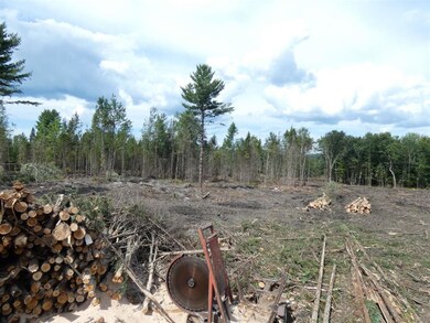 0 Willoughby Lake Rd, Barton, VT 05822 - photo 4